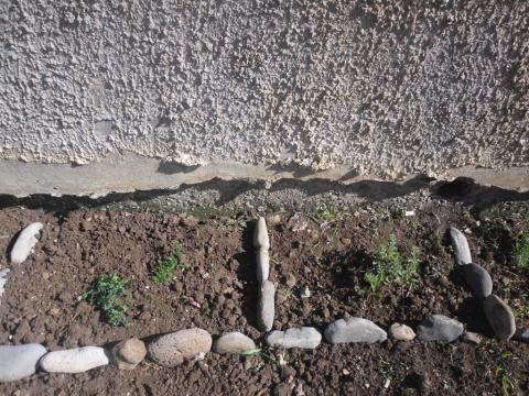 Canteiro das ervas aromaticas, feito com a ajuda das crianças, onde elas plantaram e decoraram com as pedras.