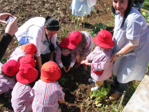no dia 24 de Março, as crianças foram á horta plantar uma arvore de fruto