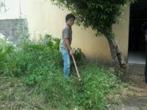 Preparação do solo - cortar e enterrar a erva