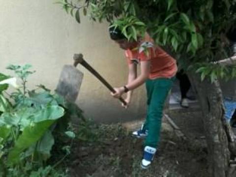 Preparação do solo - cortar e enterrar a erva