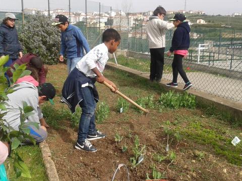 Os alunos foram ver a terra onde se iria fazer a horta.