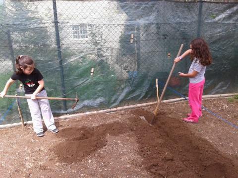Alguns alunos ajudam a cavar a terra para as plantações.