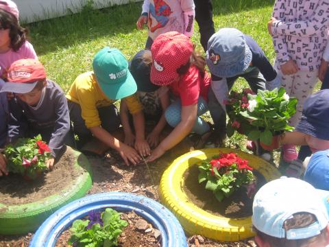 Complemento da horta, em virtude do pouco espaço a comunidade escolar construiu canteiros para embelezar o espaço escolar.