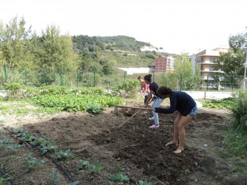 2 - A preparar o solo para as novas culturas.