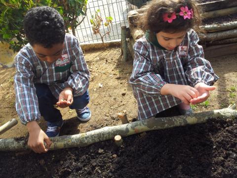 As crianças da sala das ovelhas a semear.