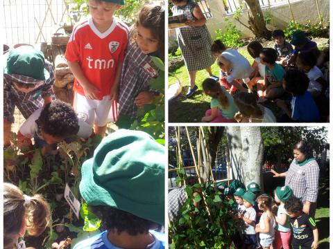 Cada menino esteve a plantar um feijão para levar para casa de forma a sensibilizar/motivar as familias a criarem em casa mini hortas/hortas verticais.