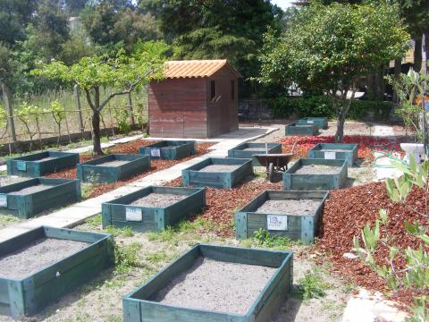 Vista geral da construção da horta com canteiros construídos com caixas de transporte de peças de moldes oferecidos por empresa local.
