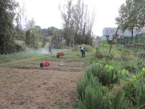 Setembro. Limpeza da horta, com remoção dos detritos e colocação na compostagem.