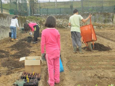 Primeiras sementeiras e plantações do ano escolar. A fertilização é através do composto produzido na escola. Participação do clube horta Bio e dos utilizadores.