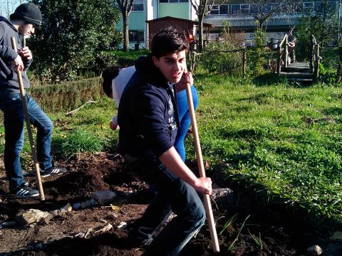 Preparação da horta e divisão em talhões realizada pelos alunos do ensino secundário de Geografia