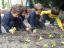 Depois de semeadas na sala de aula, os meninos transplatam as couves para a horta, abrindo buracos na terra e plantando os rebentos de couve em linhas.