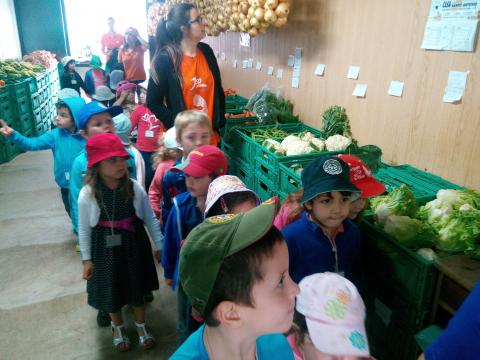 Visita à quinta Juvenal Abreu, no âmbito de adquirir conhecimentos relativamente à agricultura e à alimentação saudável