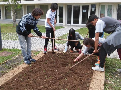 Alunos do 8.º ano, turma A, a preparar o solo para a plantação de culturas primavera-verão. Abril 2015.