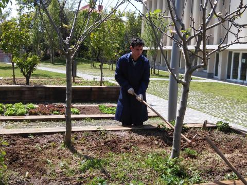 Aluno integrado na Educação Especial retira as ervas daninhas de um dos canteiros vizinhos da Horta Bio. Abril de 2015.