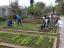 Alunos do 8.º ano, turma A, realizam a monda da horta de forma manual. Tarefa realizada a 9 de abril de 2015.
