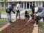 Alunos do 8.º ano, turma A, a preparar o solo para a plantação de culturas primavera-verão. Abril 2015.