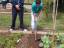 Alunos do 8.º ano, turma B, preparam o solo para semear uma linha de rabanetes. Nesta tarefa foi integrado um aluno da Educação Especial, que ajudou os colegas a realizar a atividade. Abril de 2015