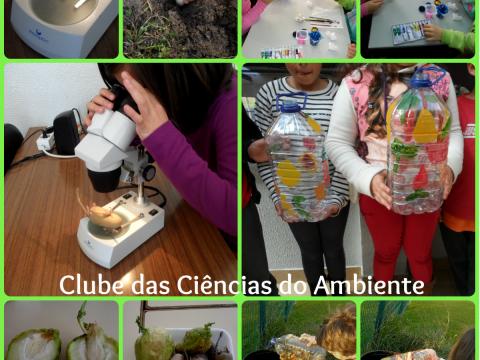 No clube das Ciências do Ambiente os alunos observam as sementes e as plantas na lupa binocular e estudam o processo de germinação. Também pintam os seus garrafões para os resíduos para o compostor e encarregam-se da compostagem entre outras atividades,
