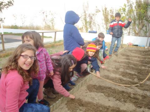 Preparar a horta: os alunos das três valências foram à horta preparar o canteiro para plantar as couves e as alfaces.
