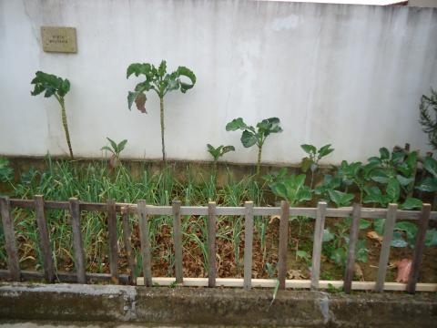 Secção da horta 2