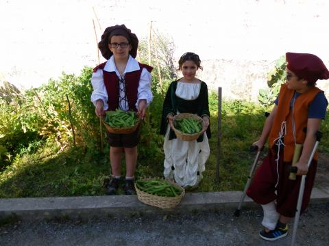 As favas e as ervilhas estão prontas para vender na Feira Quinhentista (Plano Anual de Atividades da escola).