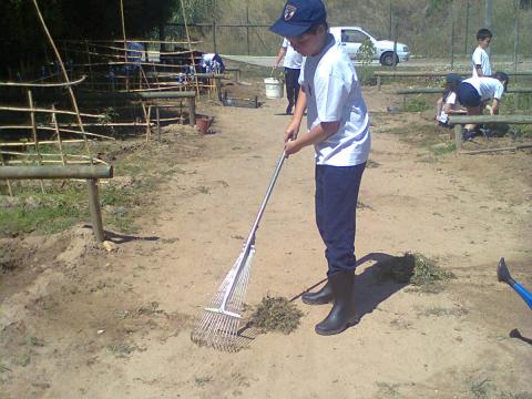 Aspeto Geral da Horta / Quinta Pedagógica
Limpeza e manutenção realizada pelos alunos do 4º ano de escolaridade