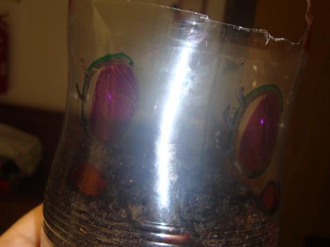 Os alunos do Clube das Ciências e do Conhecimento do Agrupamento de Escolas Dr. Azevedo Neves fizeram vasos de garrafas em forma de gato. Nos vasos foram colocadas sementes de diversas flores.