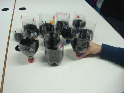 Os alunos do Clube das Ciências e do Conhecimento do Agrupamento de Escolas Dr. Azevedo Neves fizeram vasos de garrafas em forma de gato. Nos vasos foram colocadas sementes de diversas flores.