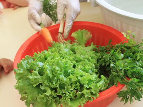 Colheita dos nossos canteiros para a preparação da salada do almoço do Dia Eco-Escolas!