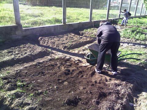 Horta da turma de meninos com Necessidades Educativas Especiais (CEI)
Fertilização da terra com composto orgânico