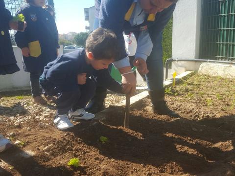 Plantámos as nossas alfaces!