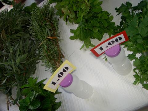 Venda de produtos biológicos da BioHorta no espaço escolar