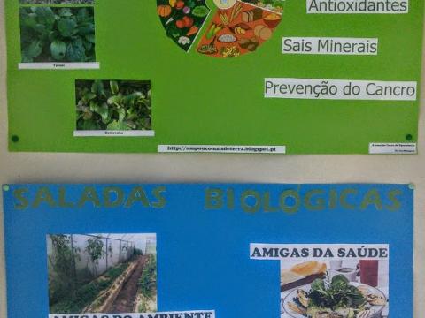 Utilização dos produtos da BioHorta na cantina escolar