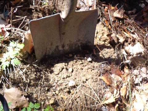 Recolha de terra junto da compostagem para colocar no local destinado à horta.