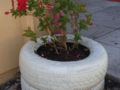Floreira construída a partir de pneus contendo uma trepadeira.