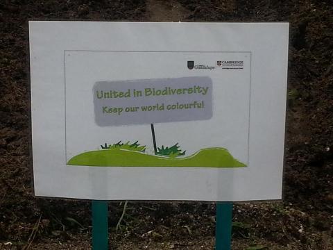 Participação no projeto  internacional United in biodiversity - Keep our worl colourful, com a Islândia e a Eslovénia