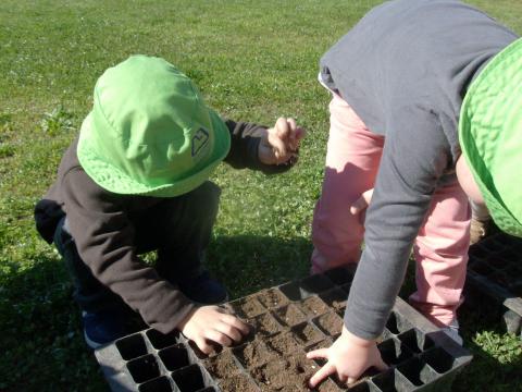 Depois de explorada a terra (cheiro, textura, humidade, cor...) as crianças colocaram-na nos germinadores, preenchendo todos os espaços.Contaram os espaços para saber quantas sementes necessitavam.