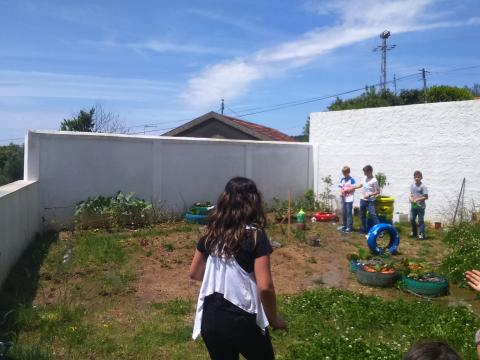 Atividades de rega - envolvimento de vários grupos de alunos na rega semanal e identificação da grande variadade de hortículas da horta.