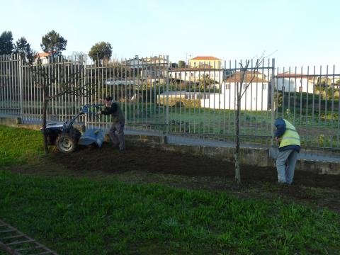 Início da preparação do terreno para a horta.