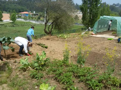 Preparação terreno para sementeiras e plantações de Verão.