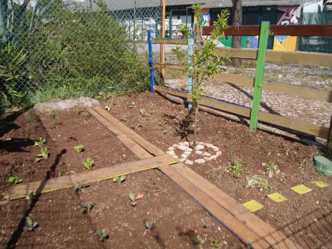 Horta - Plantação dos legumes