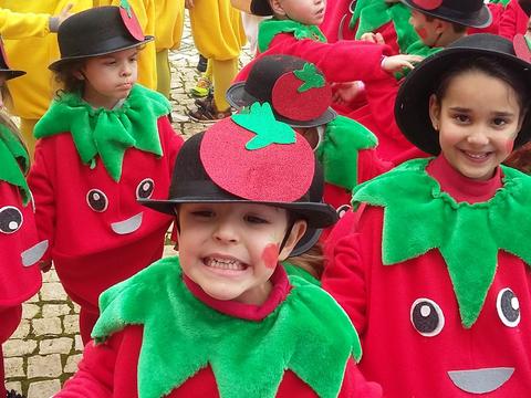 Porque no ano letivo anterior (primeiro ano de existência da nossa horta) a maior produção foi de tomates cherry, resolvemos vestir esse fato para o Desfile de Carnaval Infantil de Ovar.