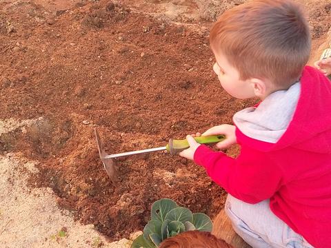 Aqui estamos nós a preparar o terreno para semear ervilhas e favas.