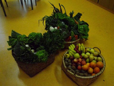 No âmbito do da Semana da Saúde fez-se a colheita de produtos hortícolas e angariação de frutas para apoiar uma instituição de solidariedade de Ponte de Lima e o Festival das Sopas da escola sede do nosso Agrupamento.