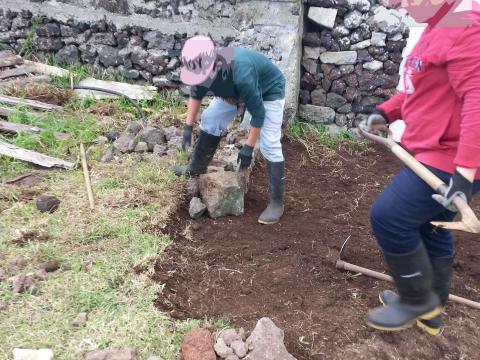 Construção de muros de pedra tradicionais da ilha Terceira, para proteção das culturas