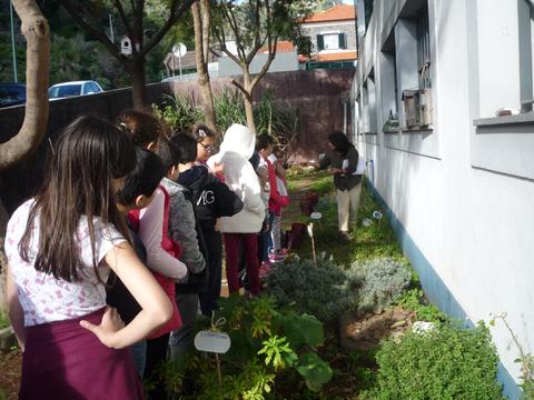 Ação de sensibilização: Produtos biológicos e plantas endémicas da Madeira feita na horta da escola no dia 25 de janeiro de 2017, para os alunos do 3º e 4º anos.