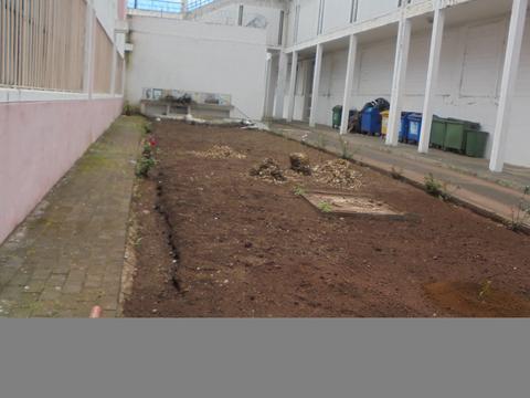 Preparação do novo espaço para a horta e substituição do solo com terra fértil.