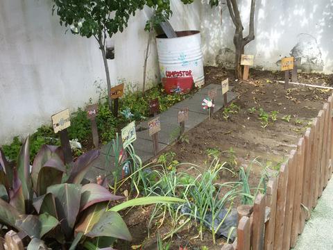 A nossa horta acabada de semear e plantar abóboras, milho, batata doce, pepinos, pimentos, tomateiros, esponja vegetal, hortelã da ribeira)