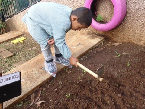 Preparar a terra
A criança encontra-se a cavar a terra, com o intuito de replantar algum legume.