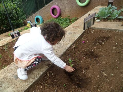 Plantação 
A criança está a colocar um rebento de pimento na terra, para que tenha a oportunidade de crescer e dar pimentos vermelhos.